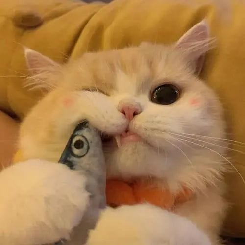 Sarwendah Tan avatar